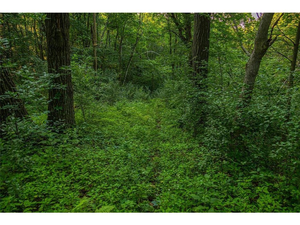 0 Cty S Road Preston Twp WI 54616 7056745 image3