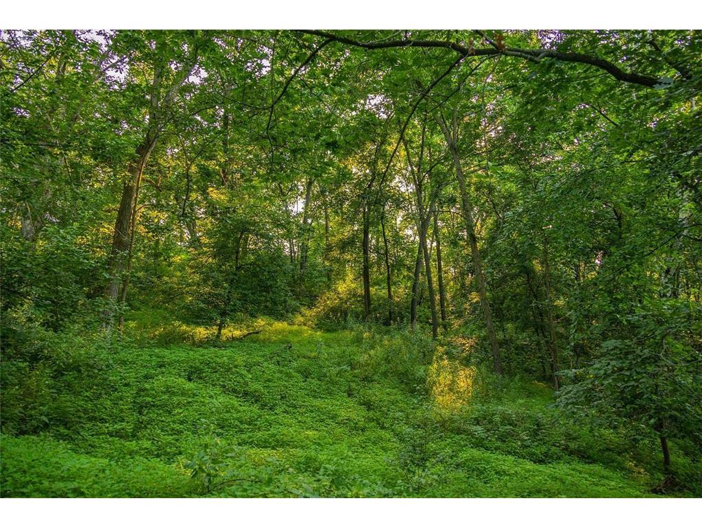 0 Cty S Road Preston Twp WI 54616 7056745 image4