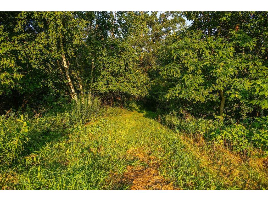 0 Cty S Road Preston Twp WI 54616 7056745 image5
