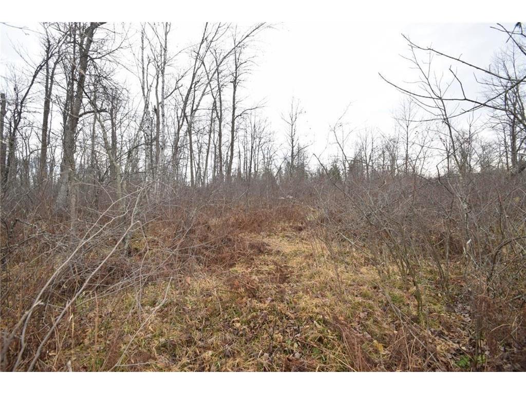 0 Cummings Road Danbury WI 54830 7003351 image1