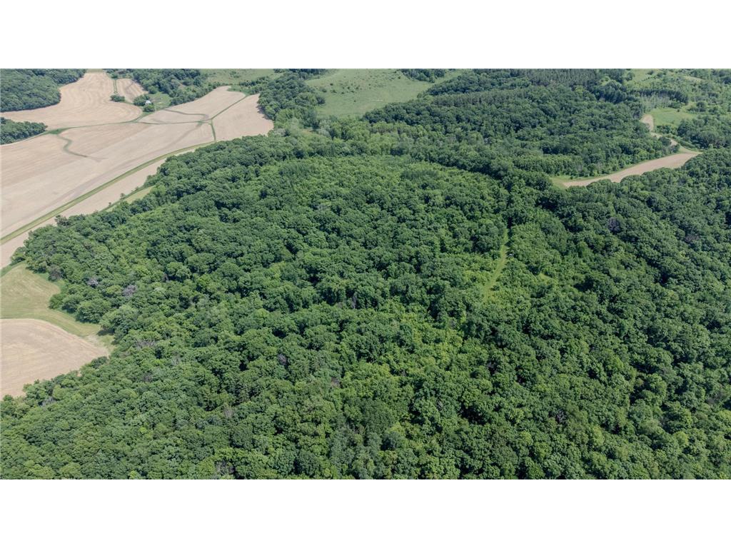 0 Dopp Road Gale Twp WI 54627 7089901 image14