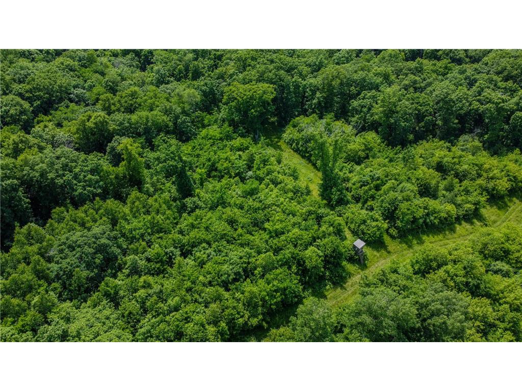 0 Dopp Road Gale Twp WI 54627 7089901 image24