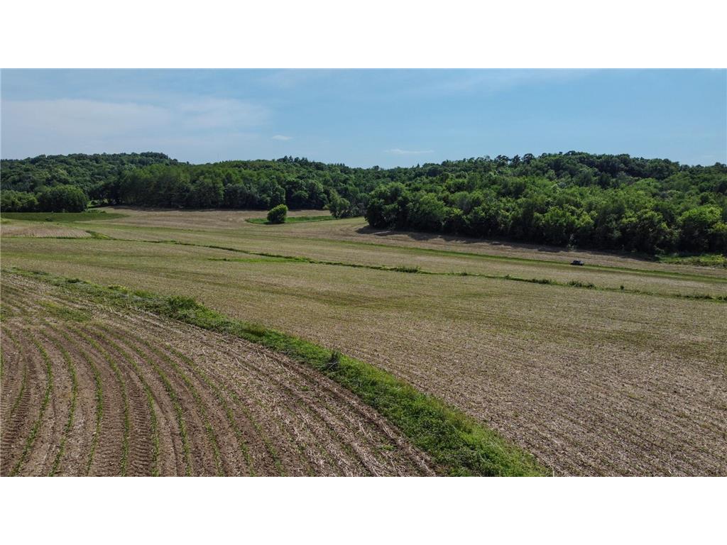 0 Dopp Road Gale Twp WI 54627 7089901 image25