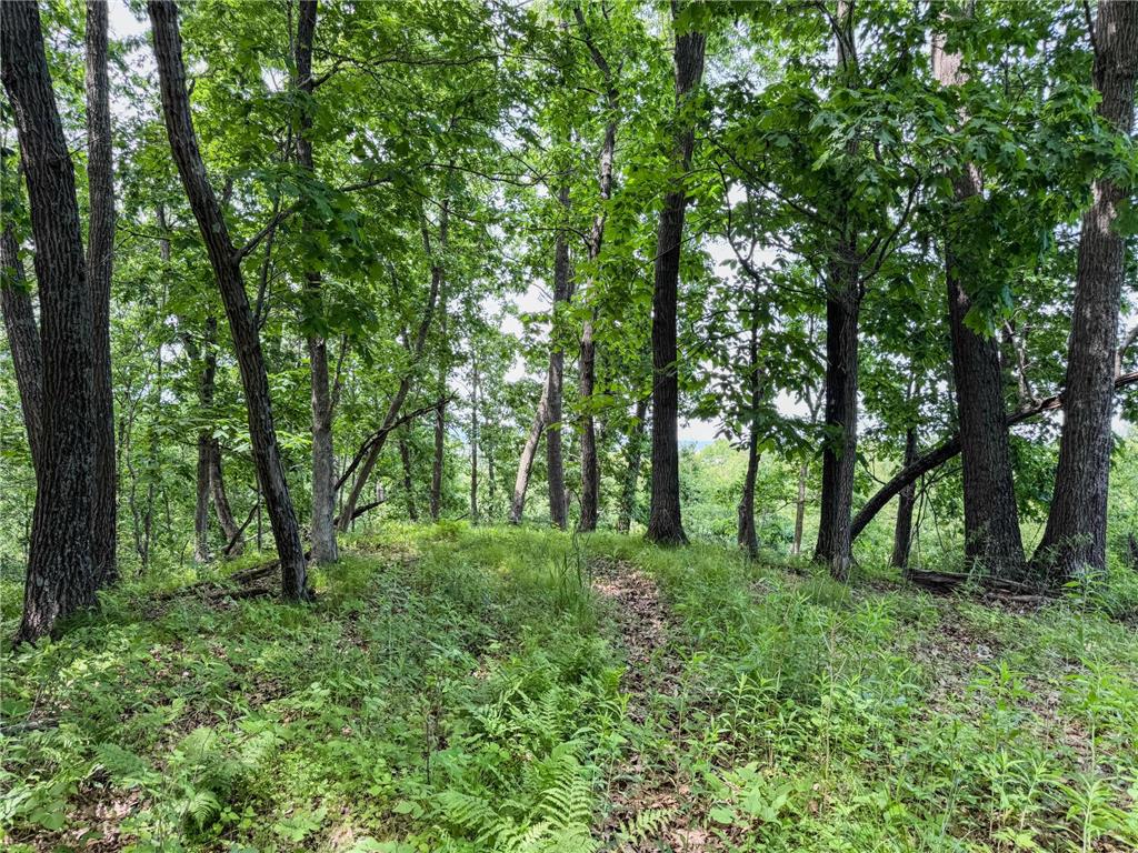 0 Dopp Road Gale Twp WI 54627 7089901 image28