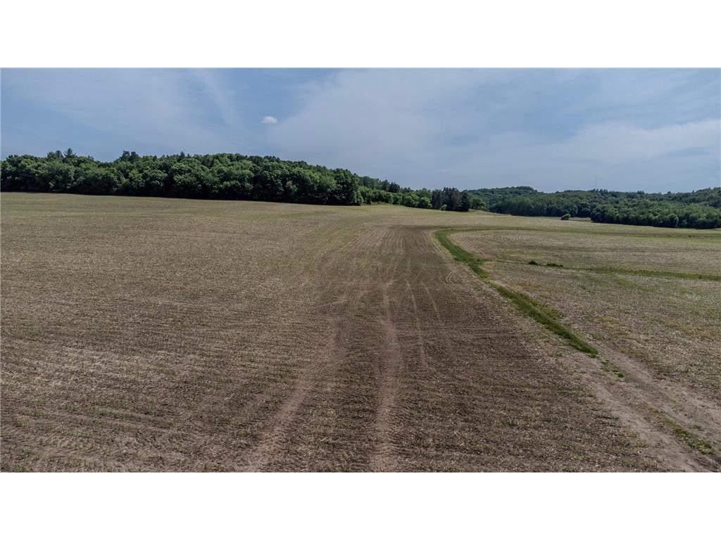 0 Dopp Road Gale Twp WI 54627 7089901 image31