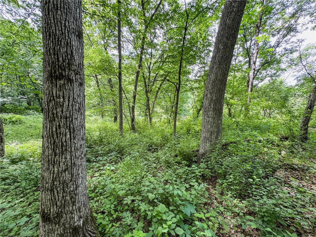 0 Dopp Road Gale Twp WI 54627 7089901 image34