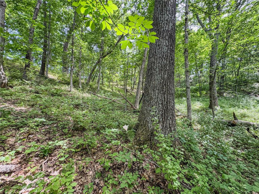 0 Dopp Road Gale Twp WI 54627 7089901 image35