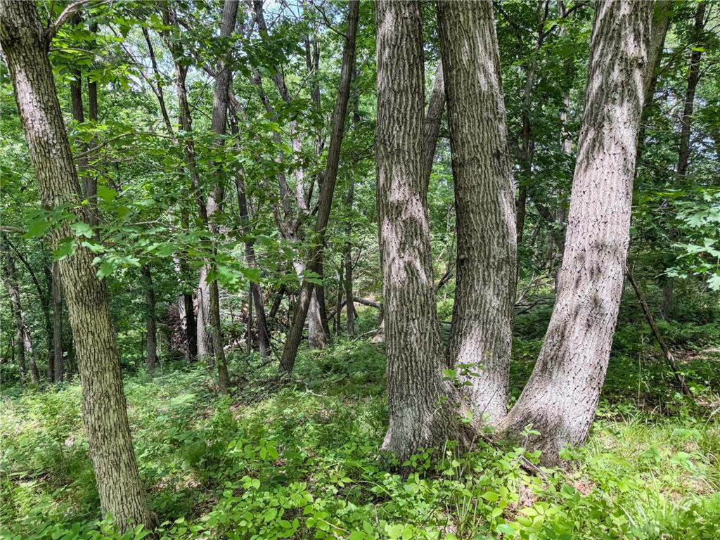 0 Dopp Road Gale Twp WI 54627 7089901 image37