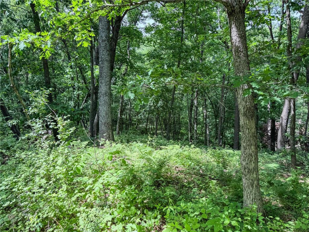 0 Dopp Road Gale Twp WI 54627 7089901 image44