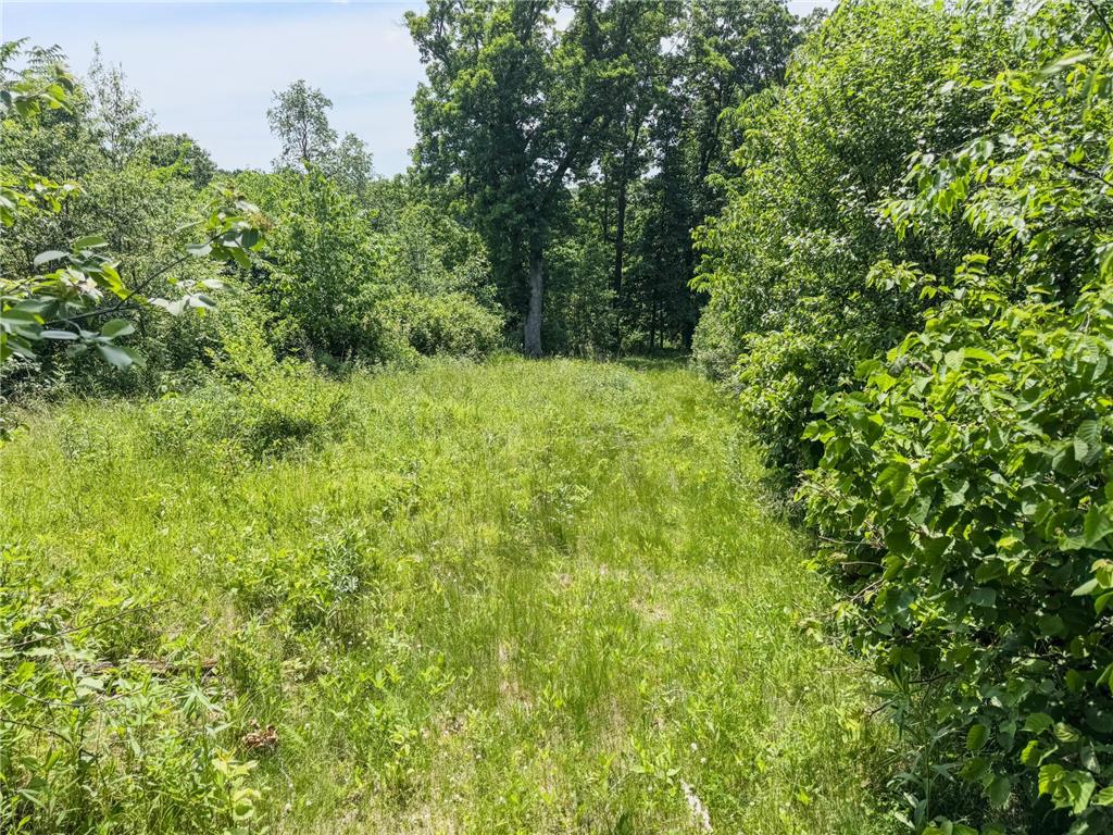 0 Dopp Road Gale Twp WI 54627 7089901 image50