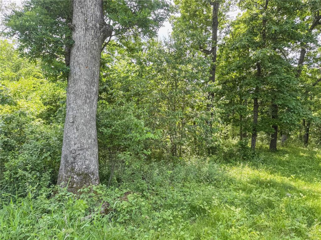 0 Dopp Road Gale Twp WI 54627 7089901 image51