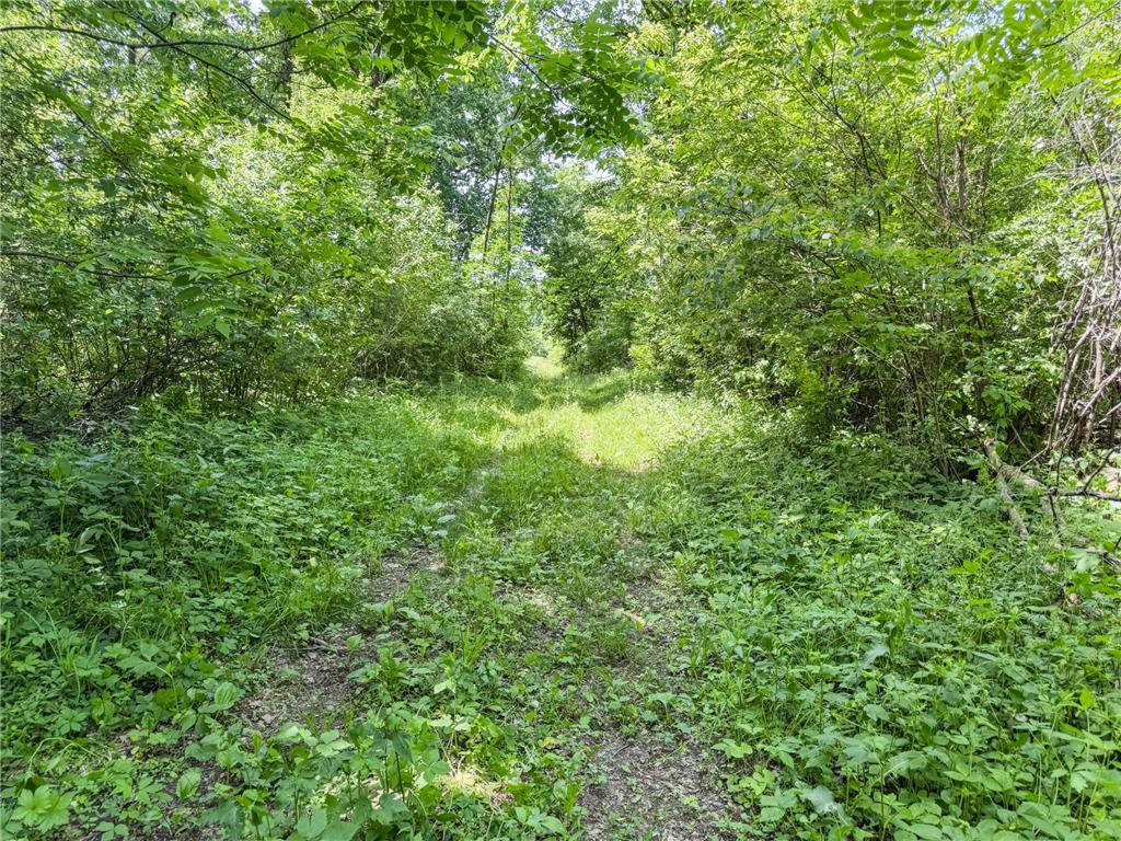 0 Dopp Road Gale Twp WI 54627 7089901 image54
