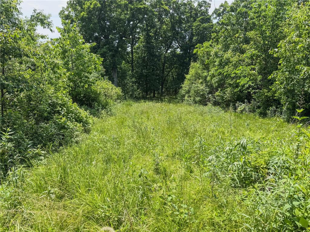 0 Dopp Road Gale Twp WI 54627 7089901 image55