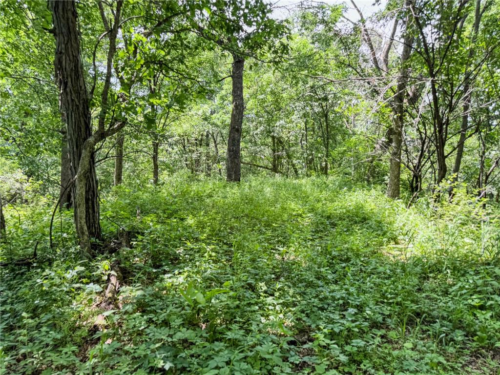0 Dopp Road Gale Twp WI 54627 7089901 image58