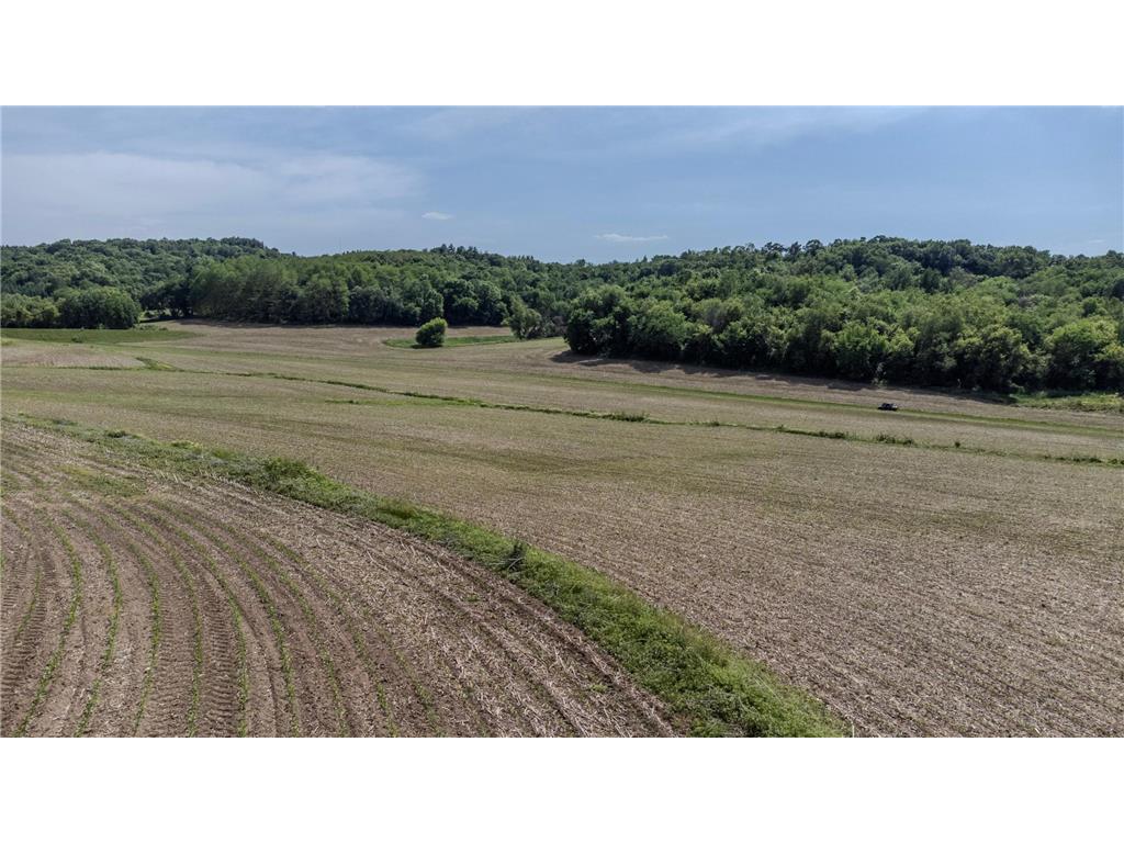 0 Dopp Road Gale Twp WI 54627 7089901 image6