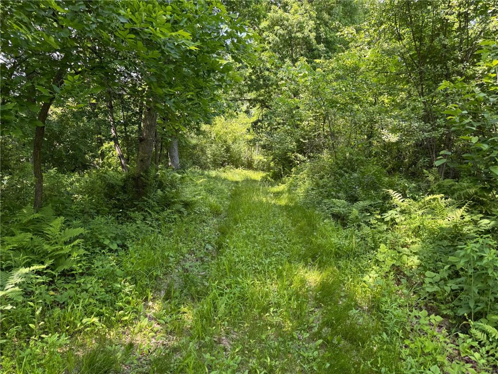 0 Dopp Road Gale Twp WI 54627 7089901 image61