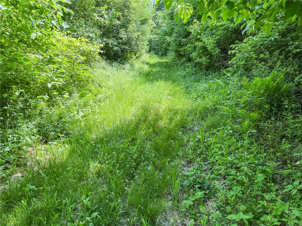 0 Dopp Road Gale Twp WI 54627 7089901 image65