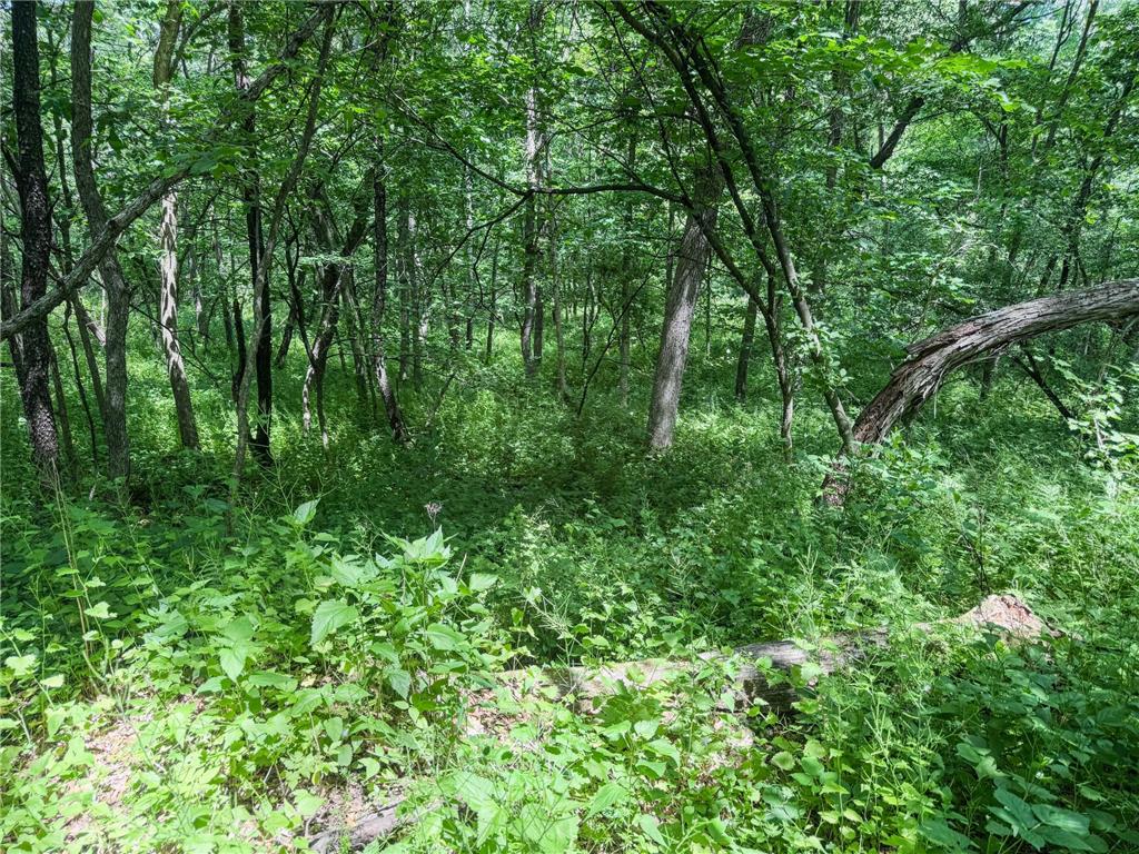 0 Dopp Road Gale Twp WI 54627 7089901 image66