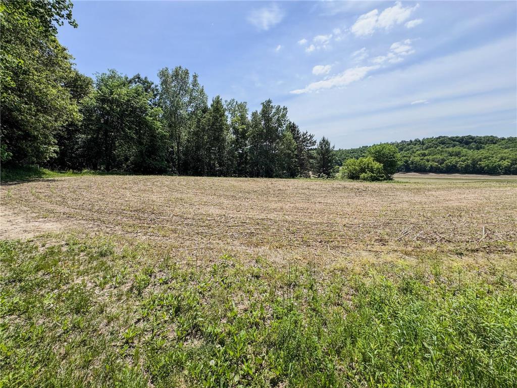 0 Dopp Road Gale Twp WI 54627 7089901 image67