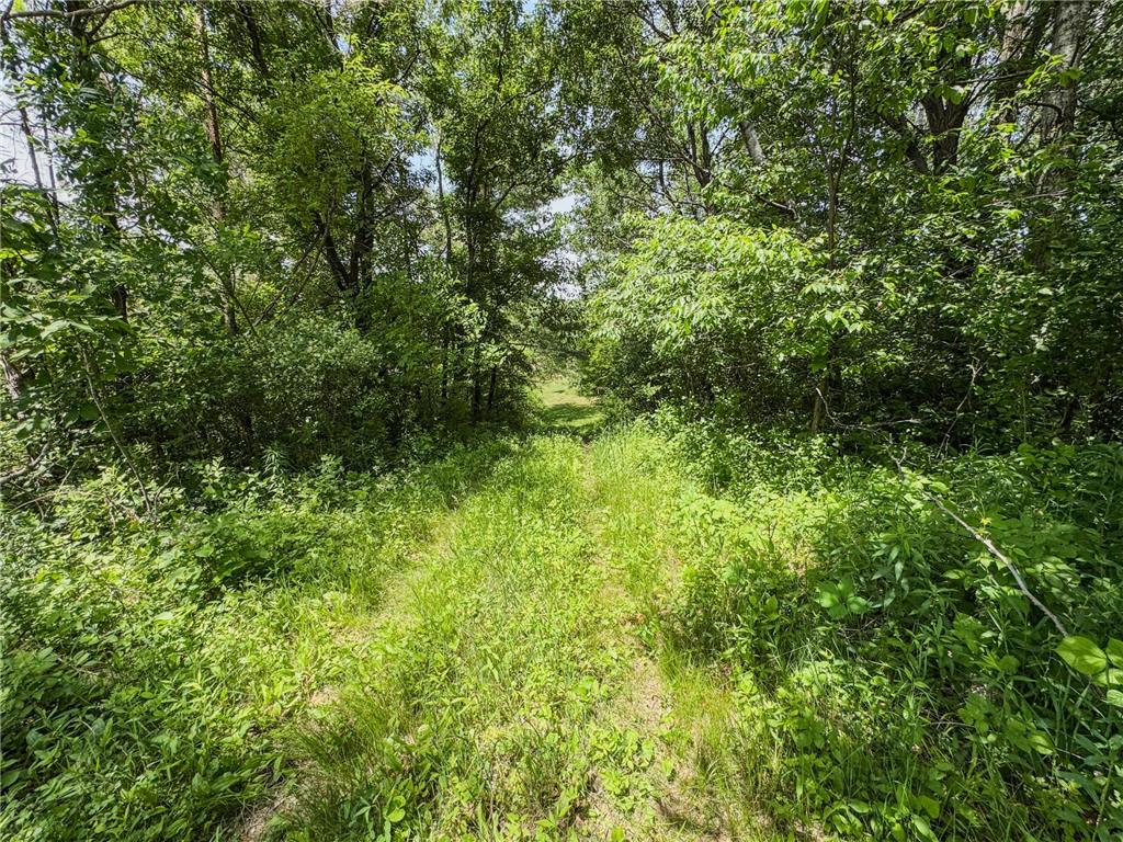 0 Dopp Road Gale Twp WI 54627 7089901 image68
