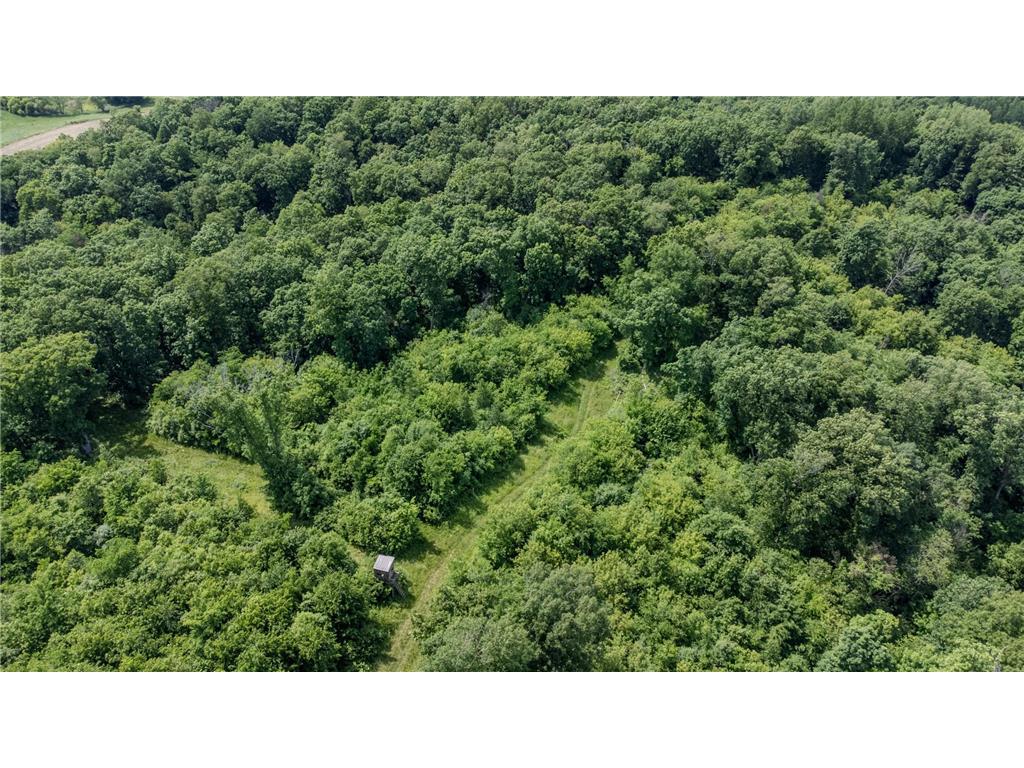 0 Dopp Road Gale Twp WI 54627 7089901 image7
