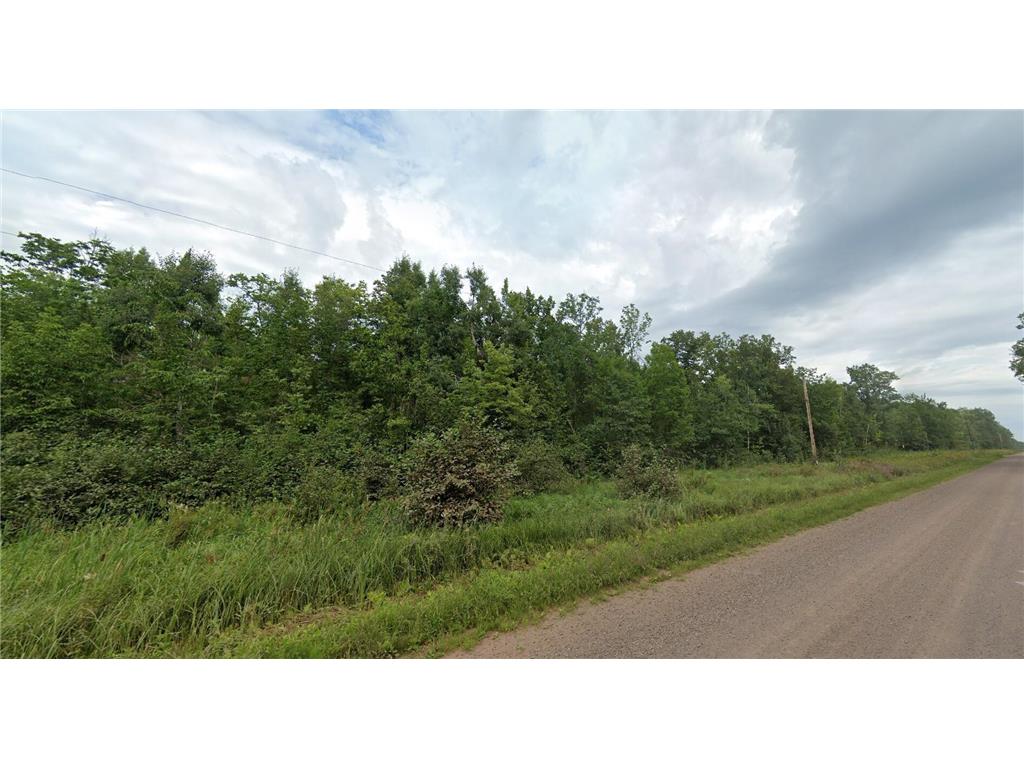 0 Doyle Road New Dosey Twp MN 55072 7035669 image1