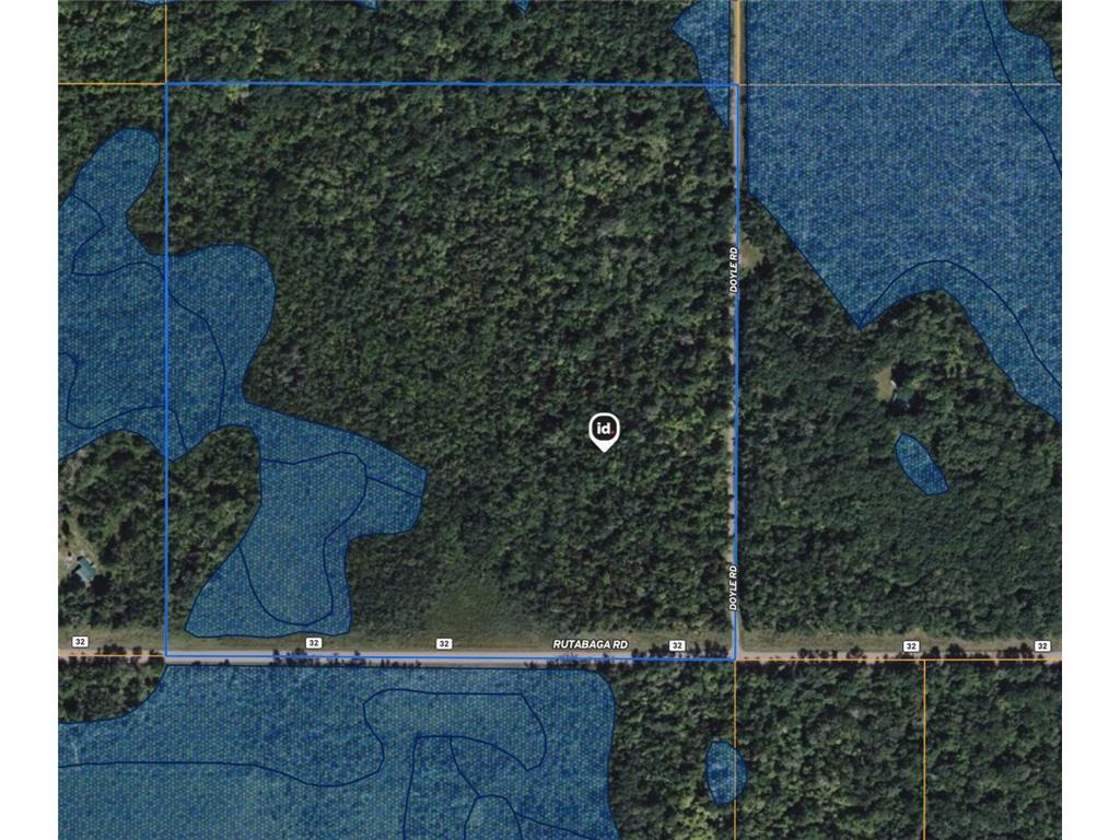 0 Doyle Road New Dosey Twp MN 55072 7035669 image4