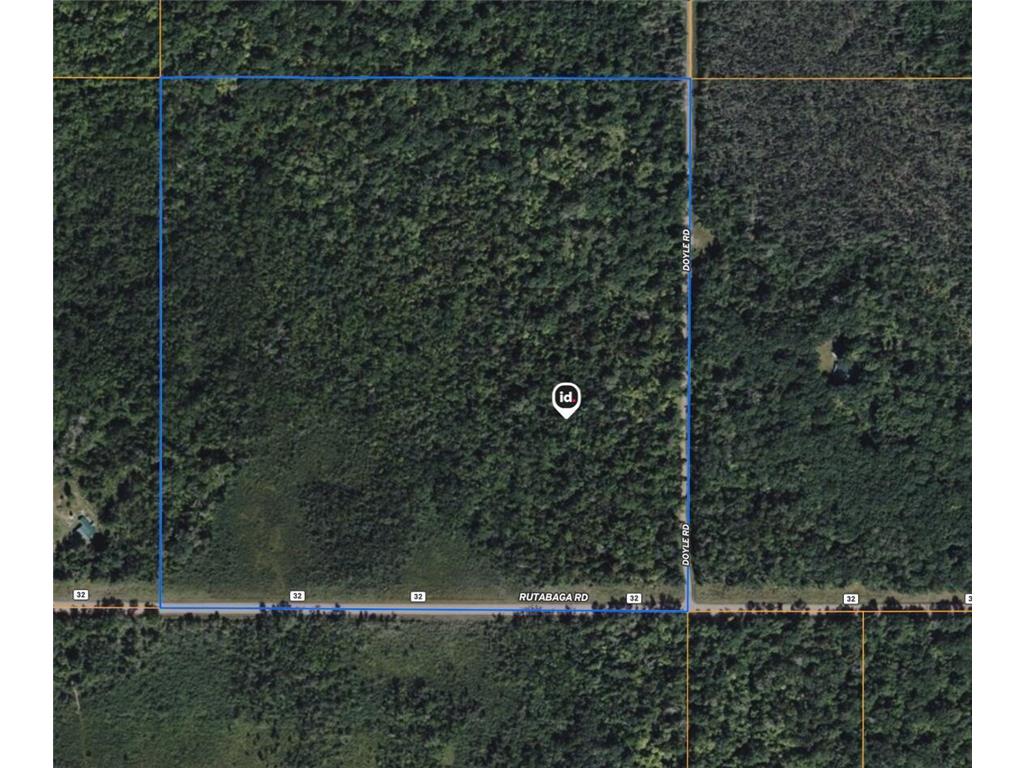 0 Doyle Road New Dosey Twp MN 55072 7035669 image5