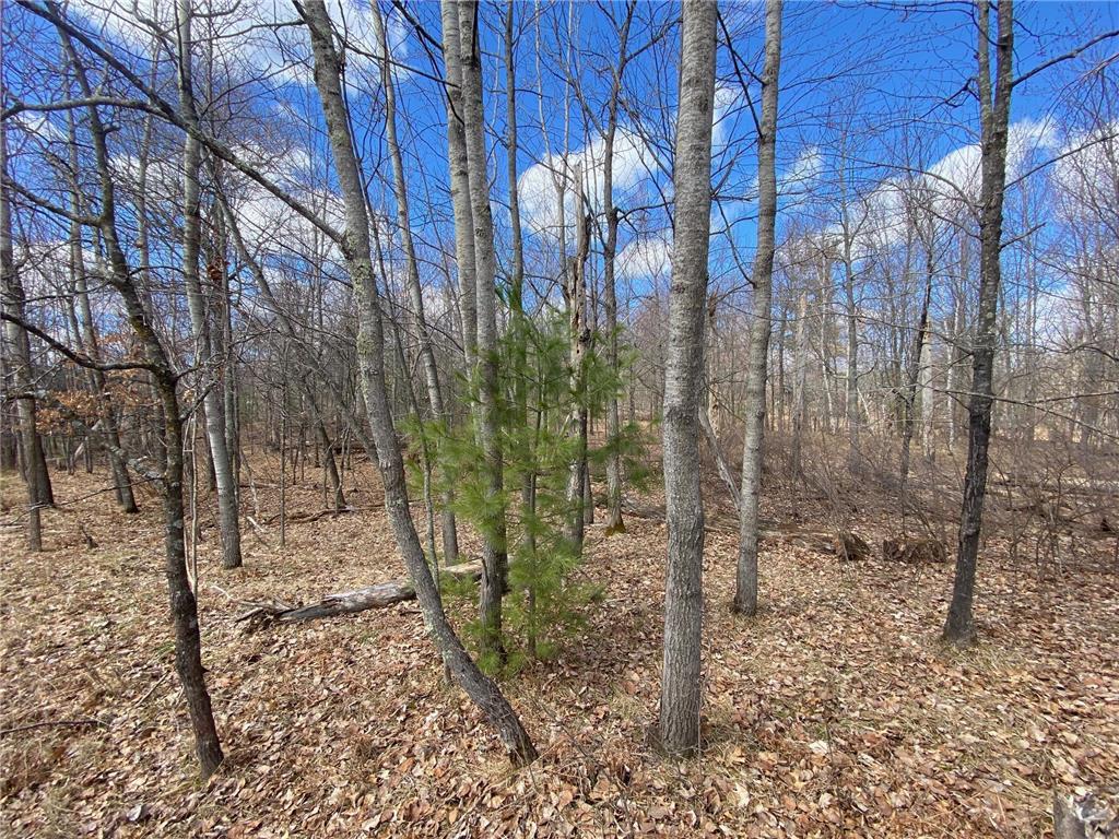 0 E Lakewood Drive Wascott WI 54838 6517944 image1