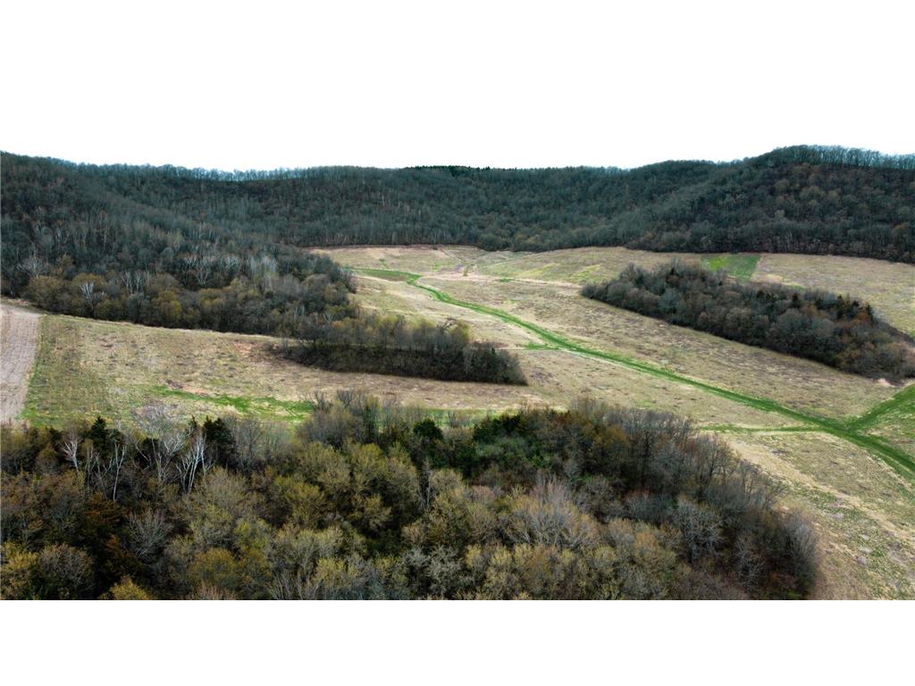 0 George Lane Arcadia WI 54612 6617579 image1