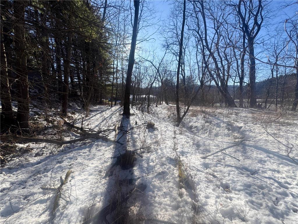 0 HWY 95 Arcadia WI 54612 7009981 image21