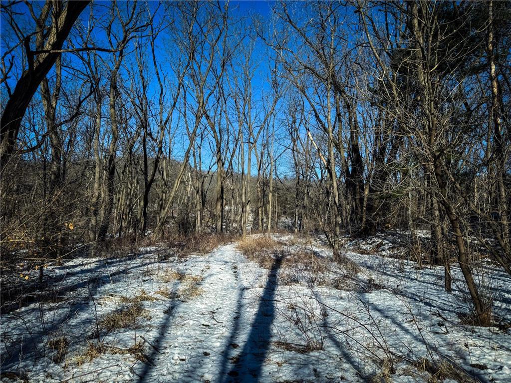 0 HWY 95 Arcadia WI 54612 7009981 image22