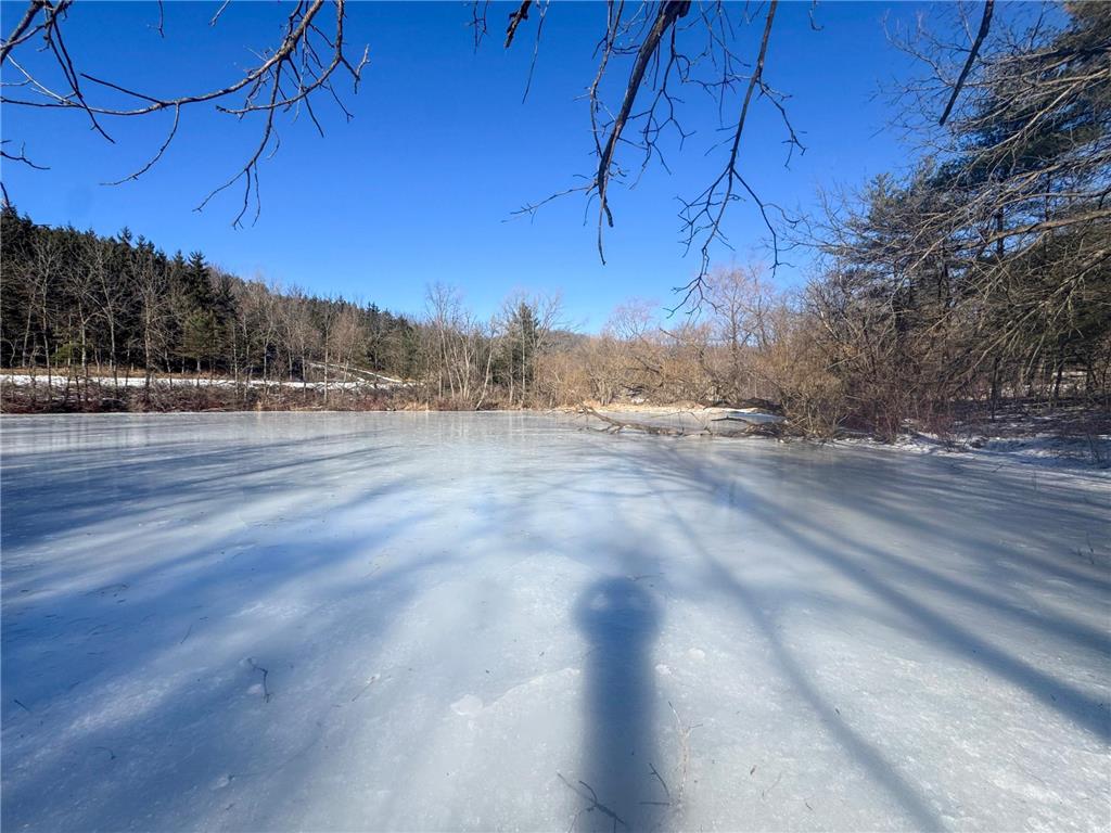 0 HWY 95 Arcadia WI 54612 7009981 image6