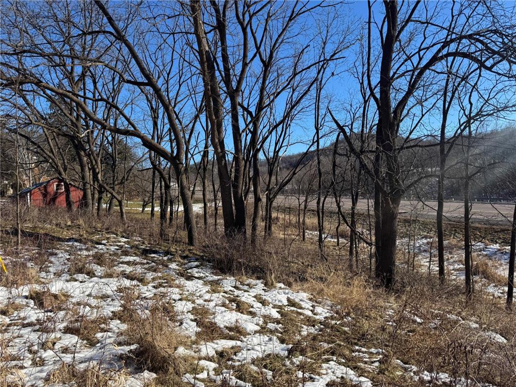 0 HWY 95 Arcadia WI 54612 7009981 image9