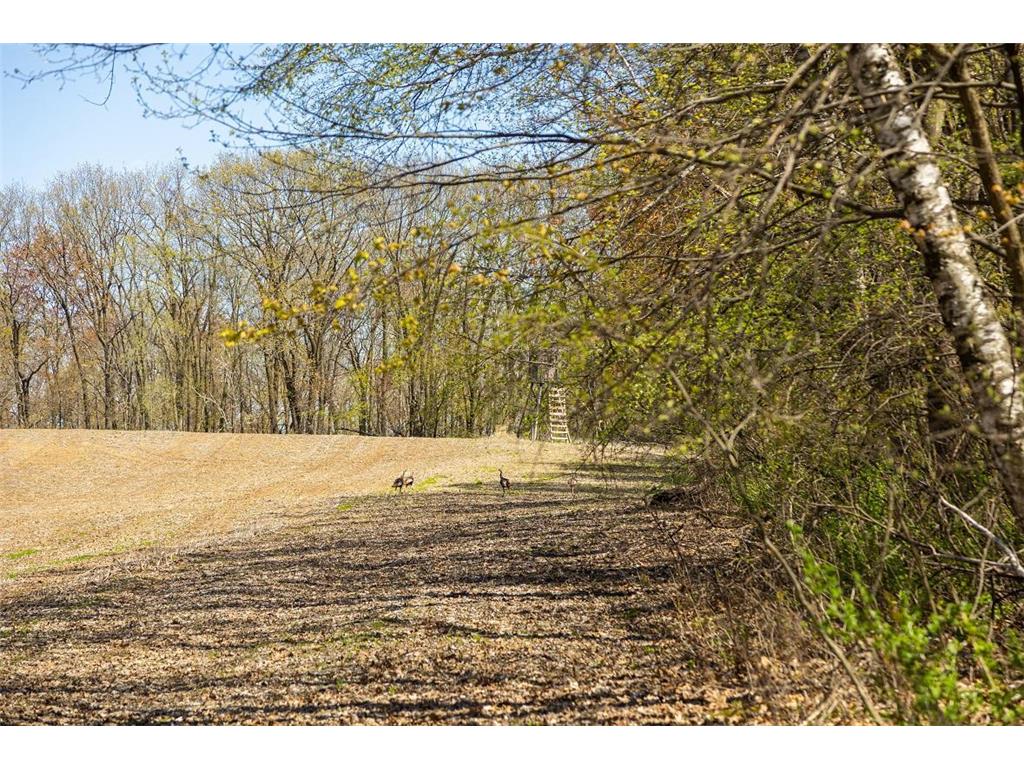 0 Hurlburt Road Canton WI 54755 6820305 image13