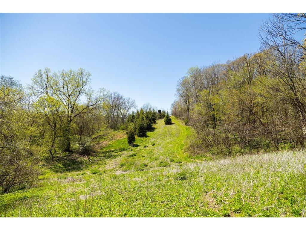 0 Hurlburt Road Canton WI 54755 6820305 image21