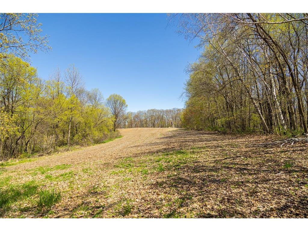 0 Hurlburt Road Canton WI 54755 6820305 image32