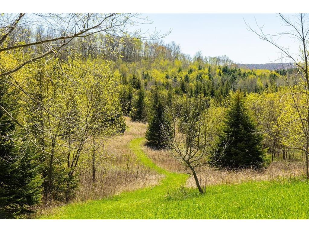 0 Hurlburt Road Canton WI 54755 6820305 image40