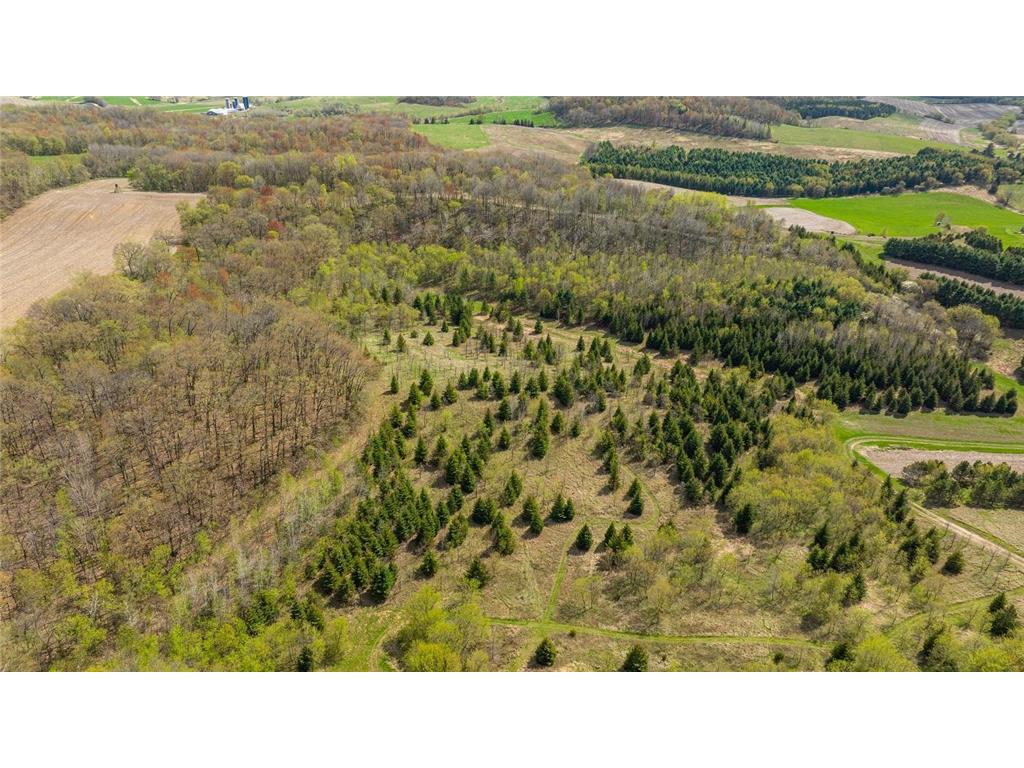 0 Hurlburt Road Canton WI 54755 6820305 image45