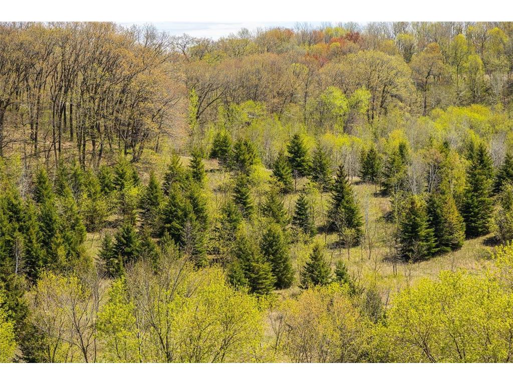 0 Hurlburt Road Canton WI 54755 6820305 image76