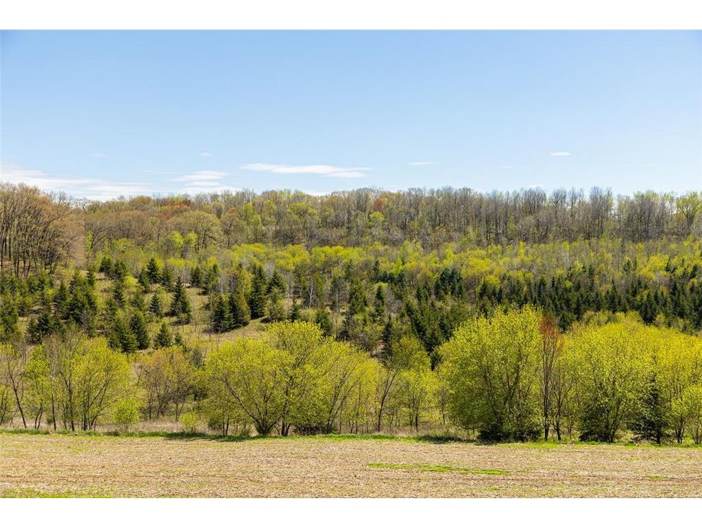 0 Hurlburt Road Canton WI 54755 6820305 image79