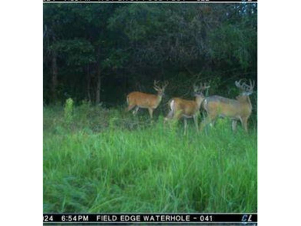 0 Lake Rd Melrose WI 54642 7059871 image10