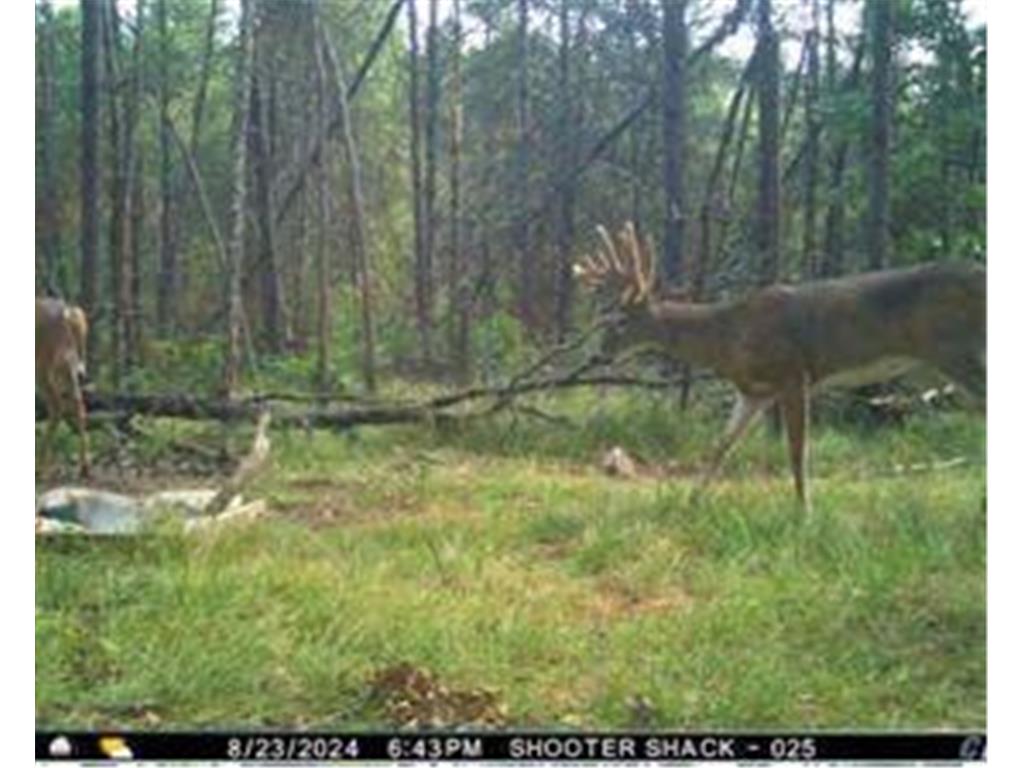 0 Lake Rd Melrose WI 54642 7059871 image14