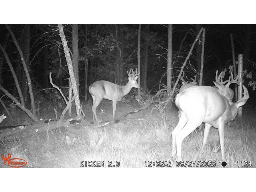 0 Lake Rd Melrose WI 54642 7059871 image48