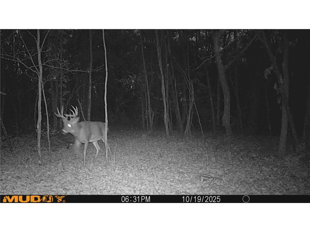 0 Lake Rd Melrose WI 54642 7059871 image53