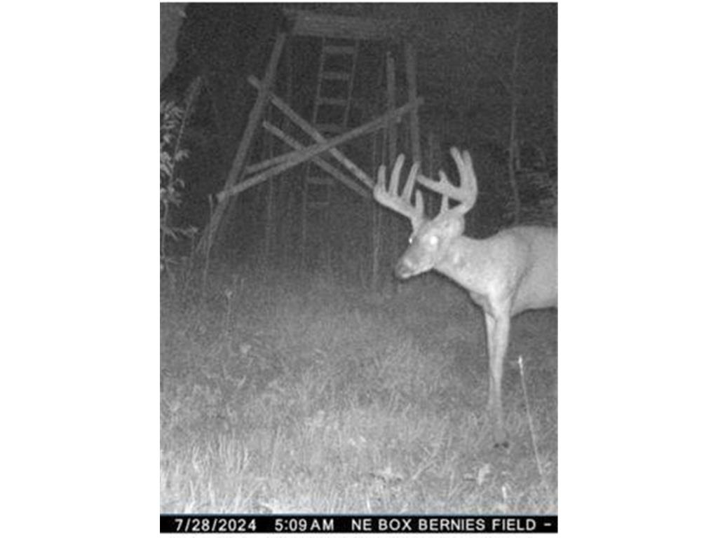 0 Lake Rd Melrose WI 54642 7059871 image8