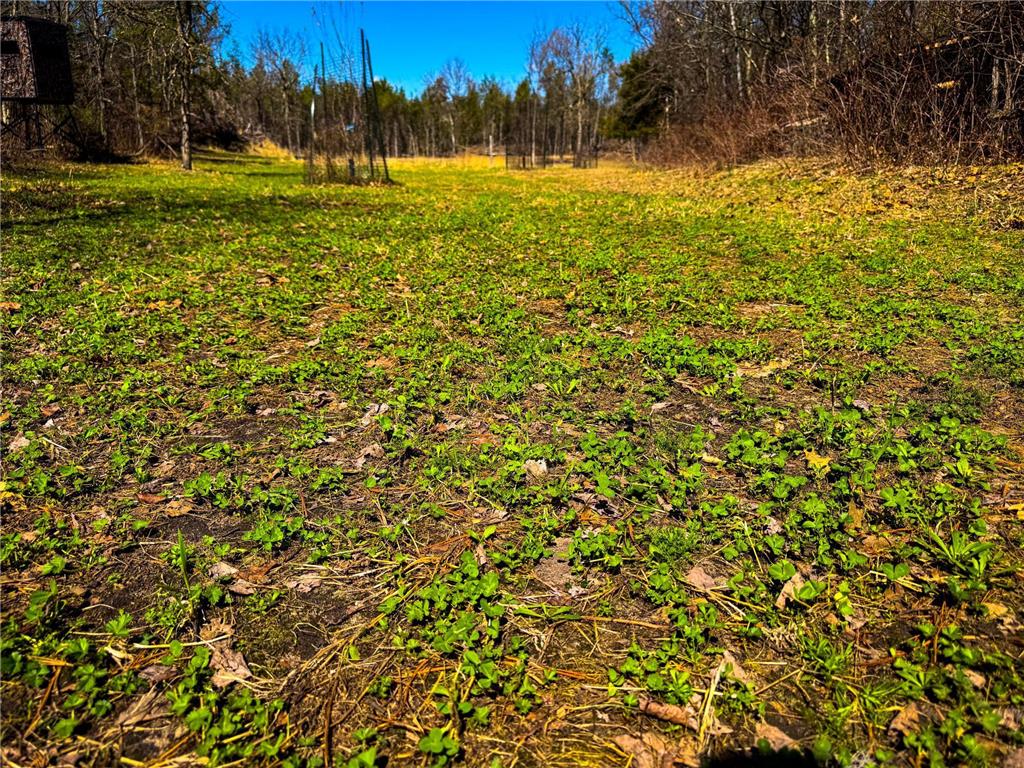 0 Lake Rd Melrose WI 54642 7059871 image9