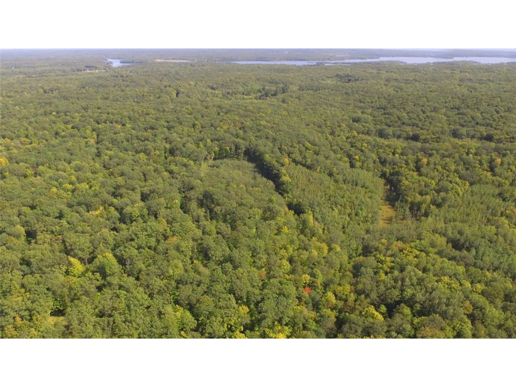 0 Lapcinski Sarona WI 54870 6259972 image1