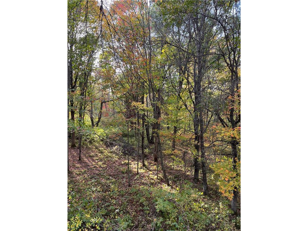 0 Levi Lane Crosslake MN 56442 7020079 image1
