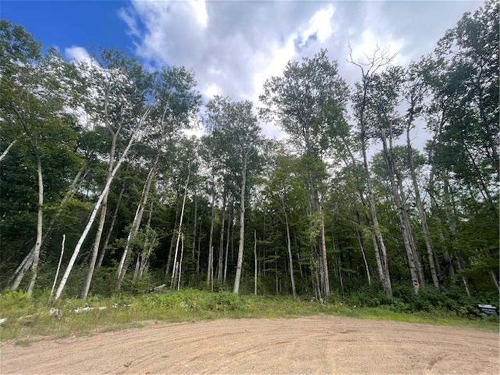 0 Levi Lane Crosslake MN 56442 7020079 image2